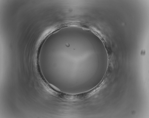 X0000095120293200712071246