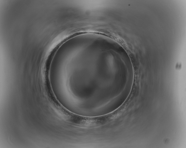 X0000095120295200712071246