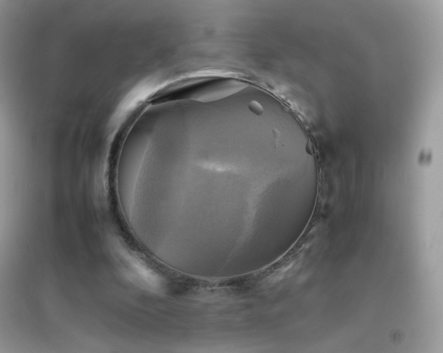 X0000095120296200712071246