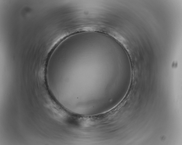 X0000095120297200712071246