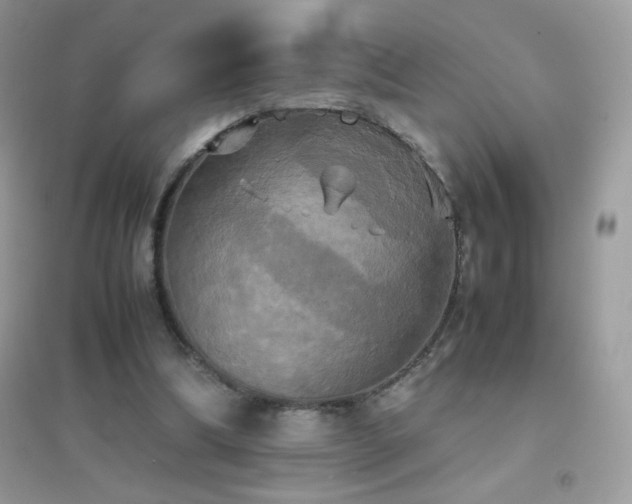 X0000095120298200712071246