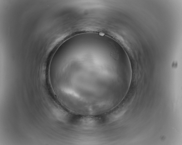 X0000095120299200712071246
