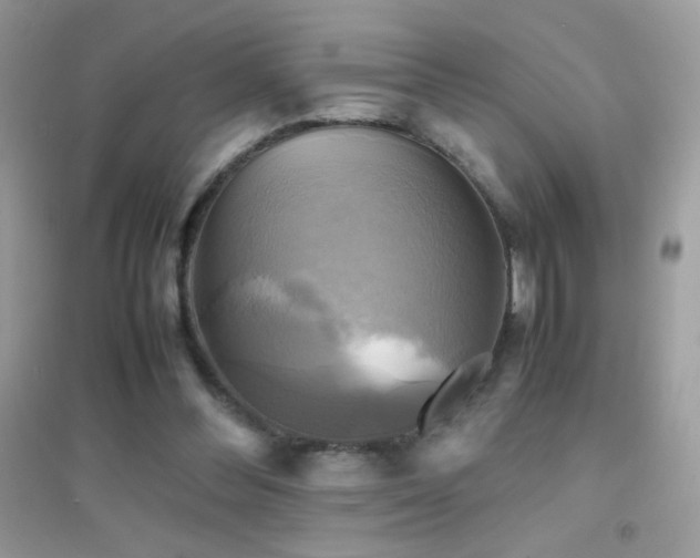 X0000095120300200712071246