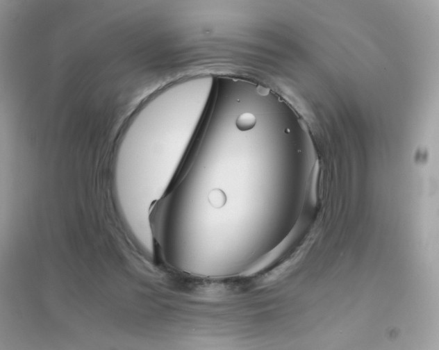 X0000095120301200712071246