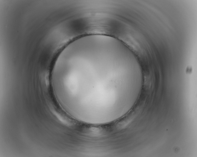 X0000095120302200712071246