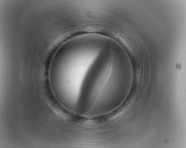 X0000095120303200712071246