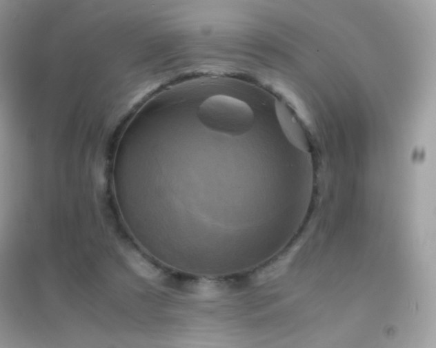 X0000095120305200712071246