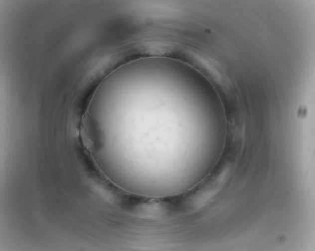 X0000095120307200712071246
