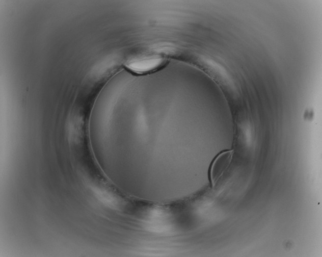 X0000095120308200712071246