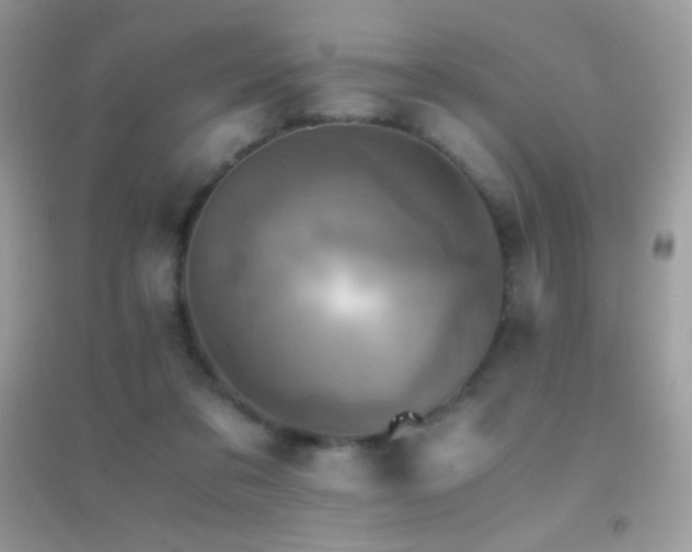 X0000095120309200712071246