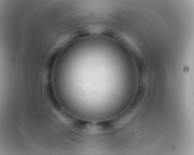 X0000095120311200712071246