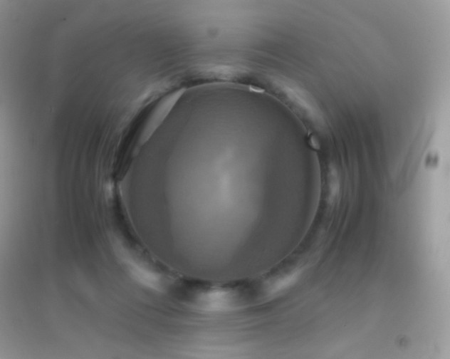 X0000095120312200712071246