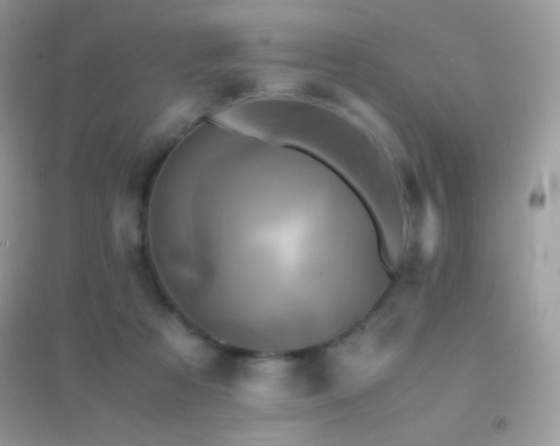 X0000095120313200712071246