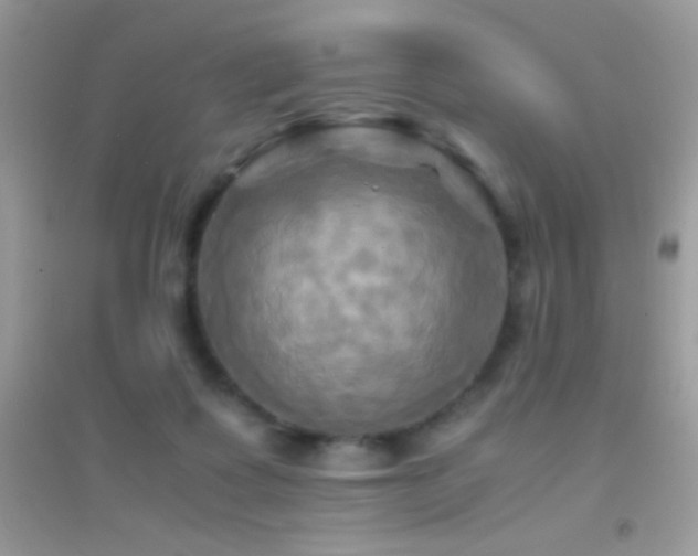 X0000095120315200712071246