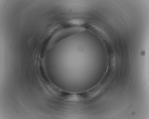 X0000095120316200712071246