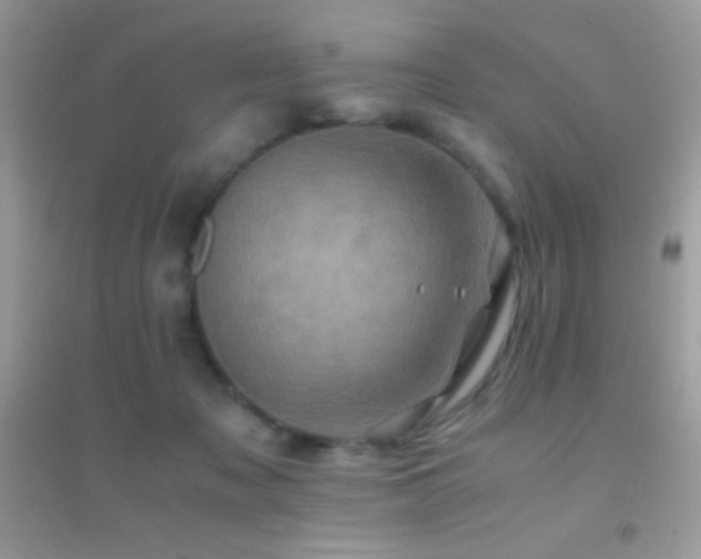 X0000095120317200712071246