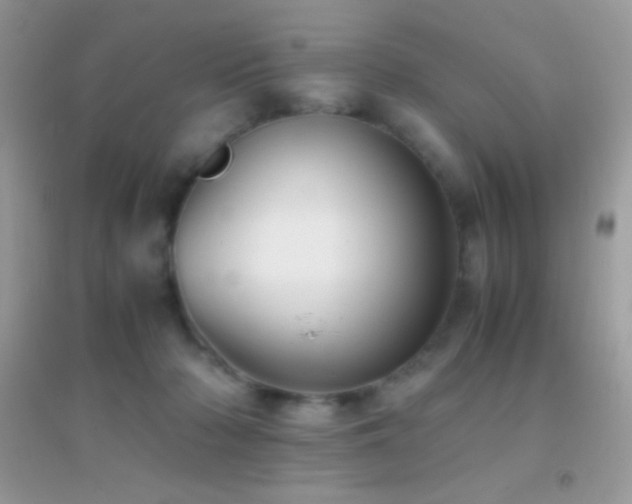 X0000095120318200712071245