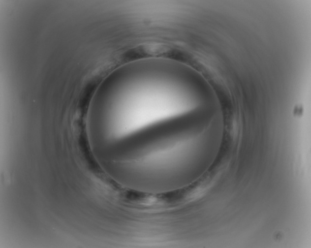 X0000095120319200712071245