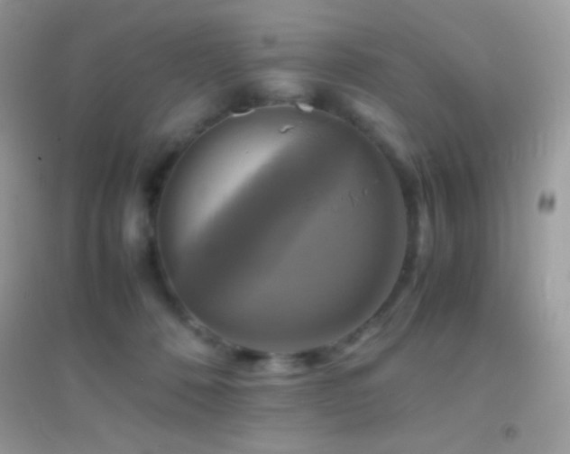 X0000095120320200712071245