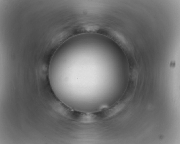 X0000095120321200712071245