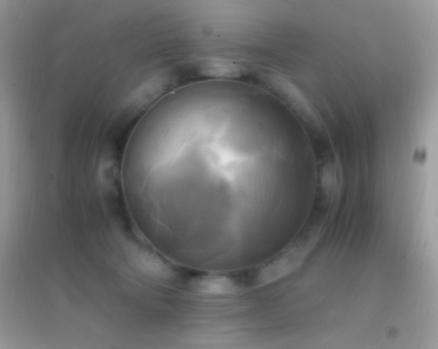 X0000095120322200712071245