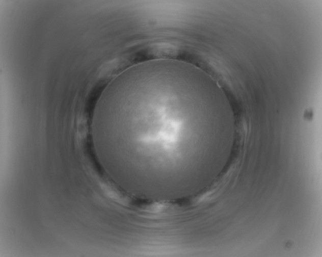 X0000095120323200712071245