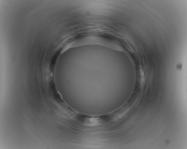 X0000095120324200712071245