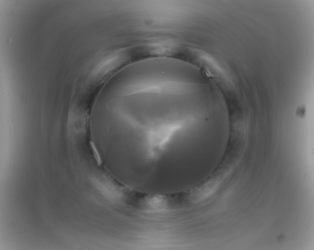 X0000095120325200712071245