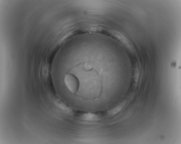 X0000095120326200712071245