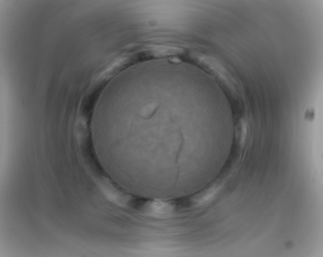 X0000095120327200712071245