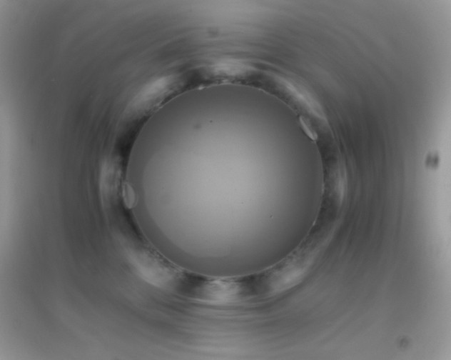 X0000095120328200712071245