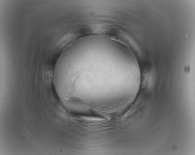 X0000095120329200712071245