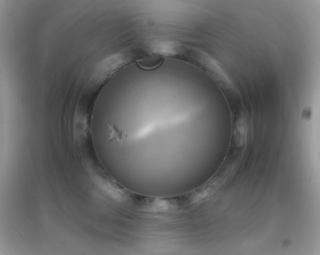 X0000095120330200712071245