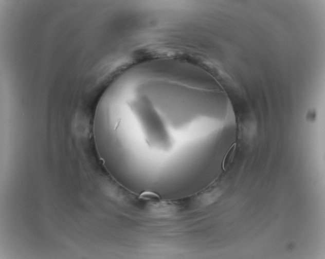 X0000095120331200712071245