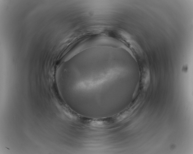 X0000095120332200712071245