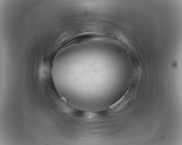 X0000095120333200712071245