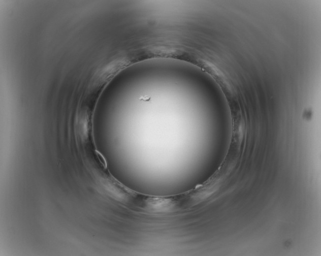 X0000095120334200712071245