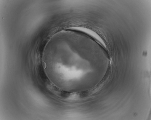 X0000095120335200712071245