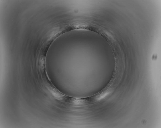 X0000095120336200712071245
