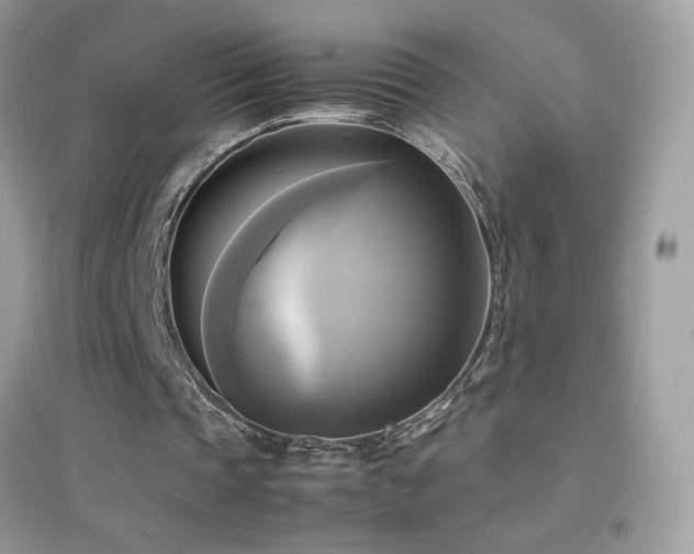 X0000095120337200712071245