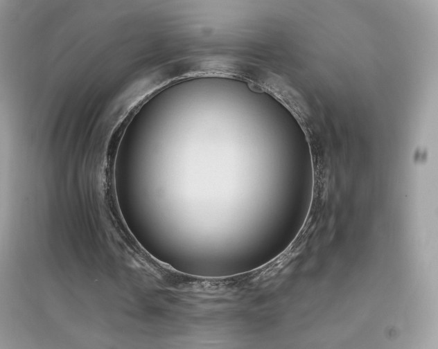 X0000095120338200712071245