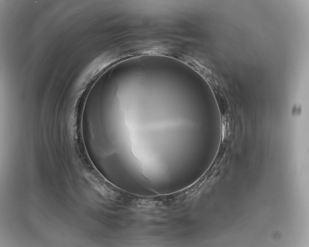 X0000095120339200712071245