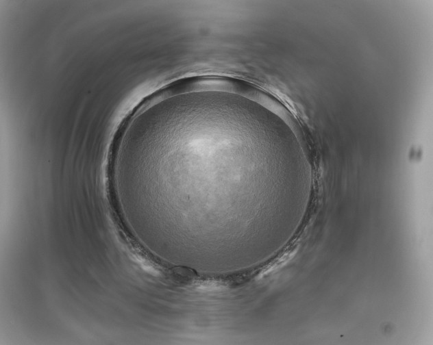 X0000095120340200712071245