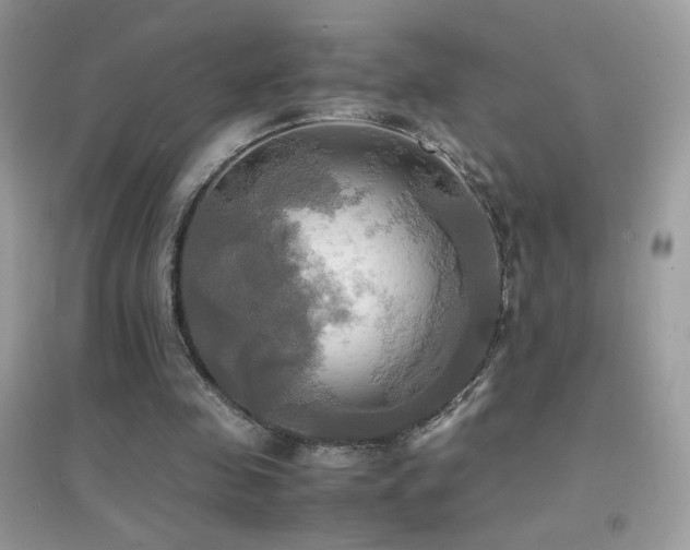 X0000095120341200712071245