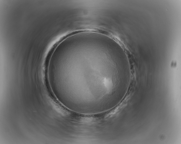 X0000095120342200712071245