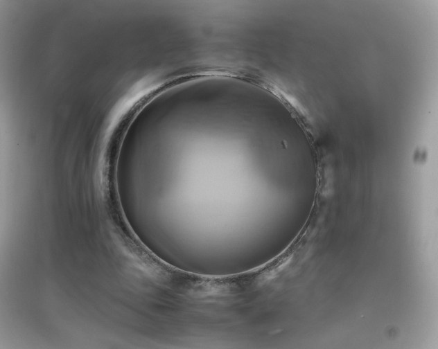 X0000095120343200712071245