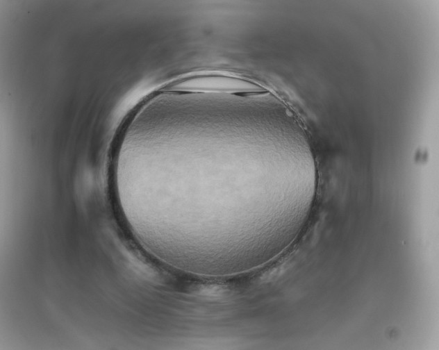 X0000095120344200712071245