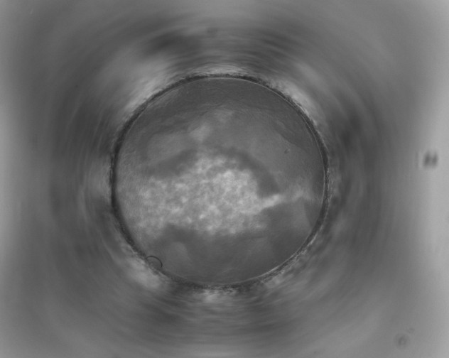 X0000095120345200712071245