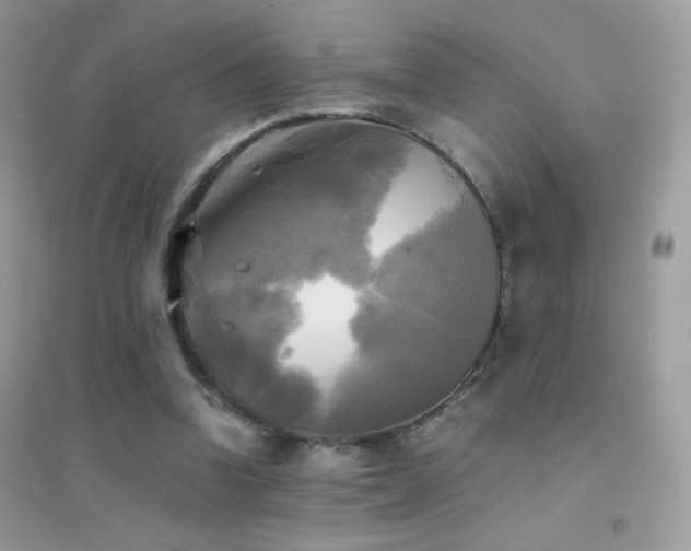 X0000095120346200712071245