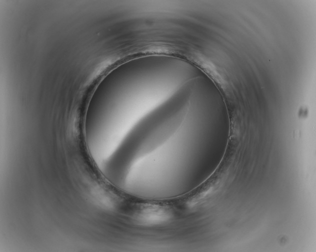X0000095120347200712071245